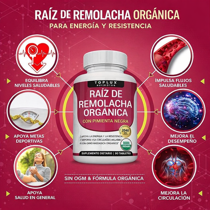 🔥🌿 RAÍZ DE REMOLACHA ORGÁNICA 🌿🔥
