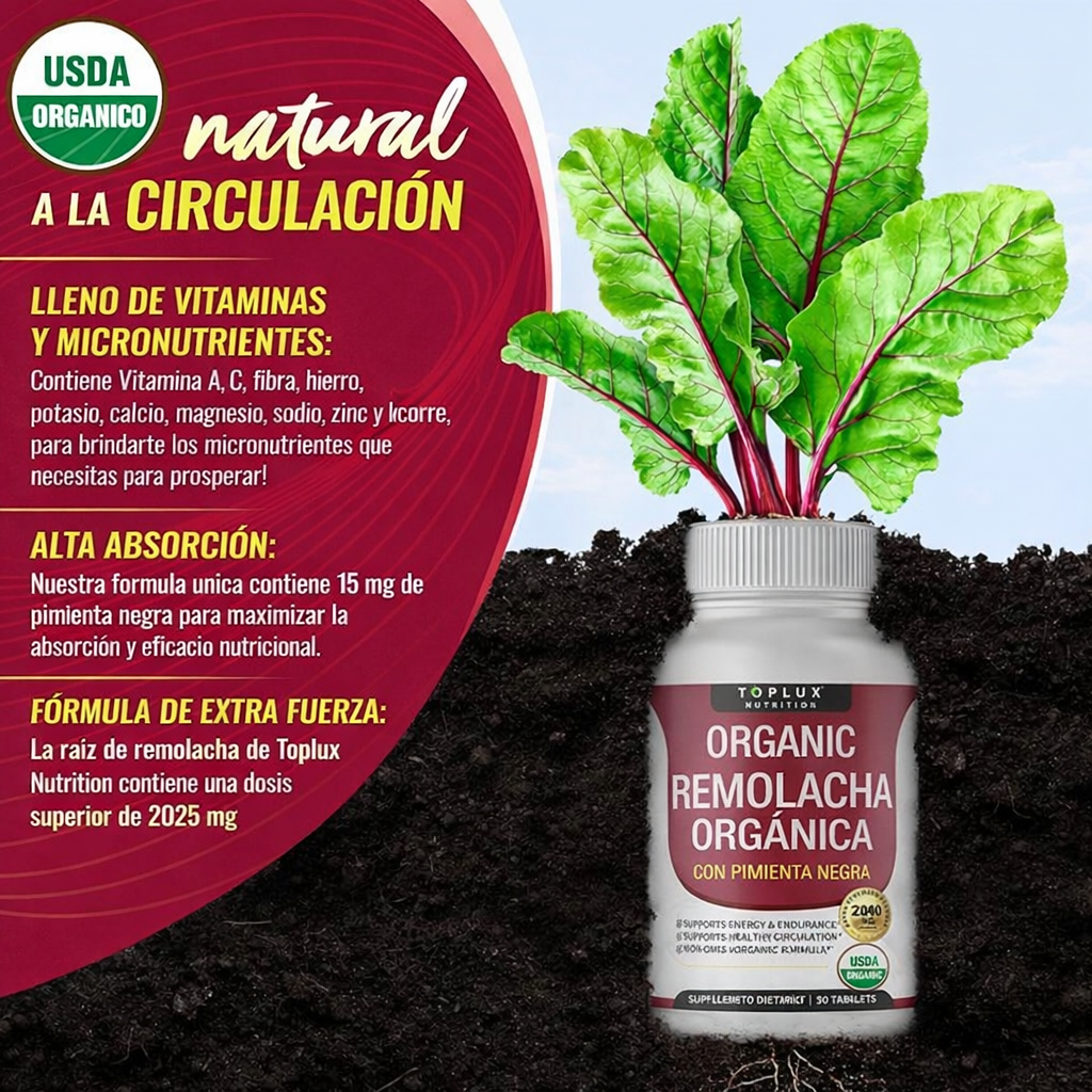🔥🌿 RAÍZ DE REMOLACHA ORGÁNICA 🌿🔥